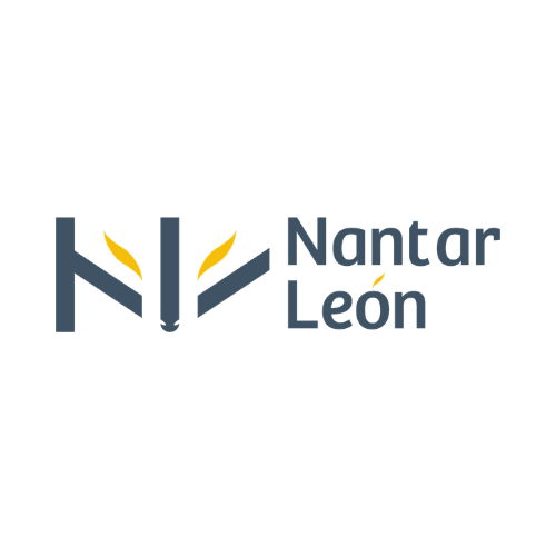 Logo 29
