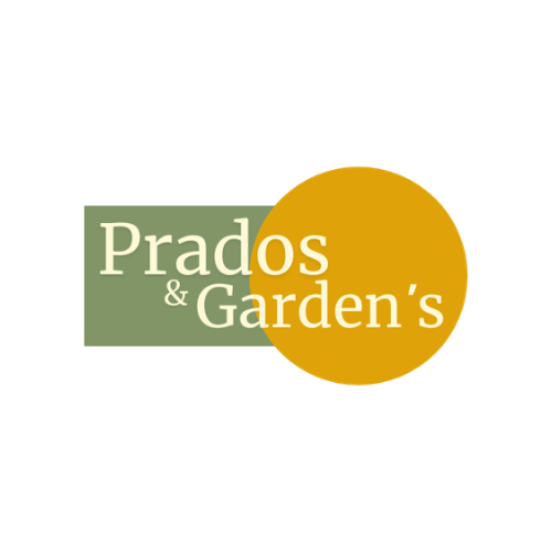 Logo 31